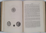 CHENU Jean-Charles "Encyclopédie d'Histoire Naturelle - Crustacés, Mollusques, Zoophytes" relié à la suite "Annelés" (2 Tomes en un Volume)