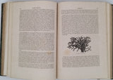CHENU Jean-Charles "Encyclopédie d'Histoire Naturelle - Crustacés, Mollusques, Zoophytes" relié à la suite "Annelés" (2 Tomes en un Volume)