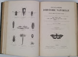 CHENU Jean-Charles "Encyclopédie d'Histoire Naturelle - Crustacés, Mollusques, Zoophytes" relié à la suite "Annelés" (2 Tomes en un Volume)