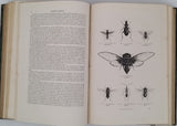 CHENU Jean-Charles "Encyclopédie d'Histoire Naturelle - Crustacés, Mollusques, Zoophytes" relié à la suite "Annelés" (2 Tomes en un Volume)