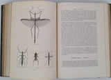 CHENU Jean-Charles "Encyclopédie d'Histoire Naturelle - Crustacés, Mollusques, Zoophytes" relié à la suite "Annelés" (2 Tomes en un Volume)
