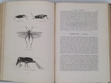 CHENU Jean-Charles "Encyclopédie d'Histoire Naturelle - Crustacés, Mollusques, Zoophytes" relié à la suite "Annelés" (2 Tomes en un Volume)