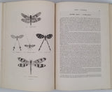 CHENU Jean-Charles "Encyclopédie d'Histoire Naturelle - Crustacés, Mollusques, Zoophytes" relié à la suite "Annelés" (2 Tomes en un Volume)