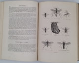 CHENU Jean-Charles "Encyclopédie d'Histoire Naturelle - Crustacés, Mollusques, Zoophytes" relié à la suite "Annelés" (2 Tomes en un Volume)