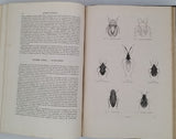 CHENU Jean-Charles "Encyclopédie d'Histoire Naturelle - Crustacés, Mollusques, Zoophytes" relié à la suite "Annelés" (2 Tomes en un Volume)
