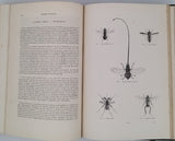CHENU Jean-Charles "Encyclopédie d'Histoire Naturelle - Crustacés, Mollusques, Zoophytes" relié à la suite "Annelés" (2 Tomes en un Volume)