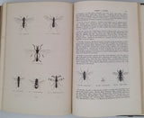 CHENU Jean-Charles "Encyclopédie d'Histoire Naturelle - Crustacés, Mollusques, Zoophytes" relié à la suite "Annelés" (2 Tomes en un Volume)