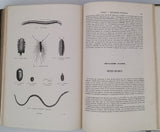 CHENU Jean-Charles "Encyclopédie d'Histoire Naturelle - Crustacés, Mollusques, Zoophytes" relié à la suite "Annelés" (2 Tomes en un Volume)