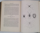 CHENU Jean-Charles "Encyclopédie d'Histoire Naturelle - Crustacés, Mollusques, Zoophytes" relié à la suite "Annelés" (2 Tomes en un Volume)