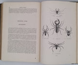 CHENU Jean-Charles "Encyclopédie d'Histoire Naturelle - Crustacés, Mollusques, Zoophytes" relié à la suite "Annelés" (2 Tomes en un Volume)