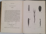 CHENU Jean-Charles "Encyclopédie d'Histoire Naturelle - Crustacés, Mollusques, Zoophytes" relié à la suite "Annelés" (2 Tomes en un Volume)