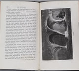 MARGOLLÉ Elie, ZURCHER Frédéric "Les Météores"