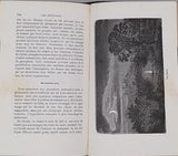 MARGOLLÉ Elie, ZURCHER Frédéric "Les Météores"