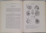 TERMIER Henri, TERMIER Geneviève "HISTOIRE GÉOLOGIQUE DE LA BIOSPHÈRE LA VIE ET LES SÉDIMENTS DANS LES GÉOGRAPHIES SUCCESSIVES"