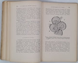 CUÉNOT Lucien "La Genèse des espèces animales"