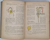 AUBERT Ephrem "Histoire naturelle élémentaire"