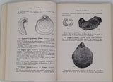 CHAVAN André, MONTOCCHIO H. "FOSSILES CLASSIQUES, Enchaînements et Détermination (350 espèces décrites avec illustrations en regard)"