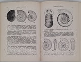 CHAVAN André, MONTOCCHIO H. "FOSSILES CLASSIQUES, Enchaînements et Détermination (350 espèces décrites avec illustrations en regard)"