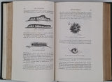 FIGUIER Louis "LA VIE ET LES MOEURS DES ANIMAUX - Les Insectes"