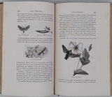 FIGUIER Louis "LA VIE ET LES MOEURS DES ANIMAUX - Les Insectes"