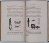 FIGUIER Louis "LA VIE ET LES MOEURS DES ANIMAUX - Les Insectes"