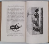FIGUIER Louis "LA VIE ET LES MOEURS DES ANIMAUX - Les Insectes"
