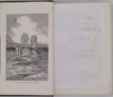 FIGUIER Louis "LA VIE ET LES MŒURS DES ANIMAUX - Zoophytes et Mollusques"