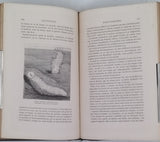 FIGUIER Louis "LA VIE ET LES MŒURS DES ANIMAUX - Zoophytes et Mollusques"