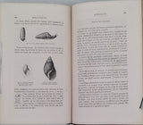FIGUIER Louis "LA VIE ET LES MŒURS DES ANIMAUX - Zoophytes et Mollusques"