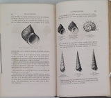FIGUIER Louis "LA VIE ET LES MŒURS DES ANIMAUX - Zoophytes et Mollusques"