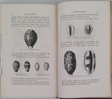 FIGUIER Louis "LA VIE ET LES MŒURS DES ANIMAUX - Zoophytes et Mollusques"