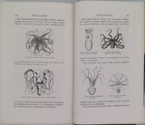 FIGUIER Louis "LA VIE ET LES MŒURS DES ANIMAUX - Zoophytes et Mollusques"