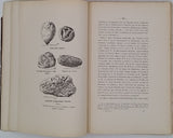 DELAUNAY Paul (Docteur) "Le Sol sarthois, ses historiens, son histoire, géologique, sa géographie botanique, économique, historique et politique" [Complet en 8 Tomes]