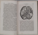 FOSSATI Giovanni Antonio Lorenzo "Manuel pratique de phrénologie ou Physiologie du cerveau d'après les doctrines de Gall, de Spurzheim, de Combe et des autres phrénologistes"