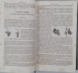 MÜLLER Johannes "Manuel de Physiologie - Traduit de l'Allemand sur la quatrième édition (1844) avec des annotations par A.-J.-L. Jourdan." [2 volumes]