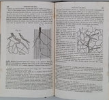 MÜLLER Johannes "Manuel de Physiologie - Traduit de l'Allemand sur la quatrième édition (1844) avec des annotations par A.-J.-L. Jourdan." [2 volumes]