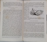 MÜLLER Johannes "Manuel de Physiologie - Traduit de l'Allemand sur la quatrième édition (1844) avec des annotations par A.-J.-L. Jourdan." [2 volumes]