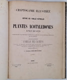 ROUMEGUÈRE Casimir "Cryptogamie illustrée ou Histoire des familles naturelles des plantes acotylédones d'Europe coordonnée suivant les dernières classifications et complétée par les recherches scientifiques les plus récentes - Famille des Lichens"