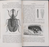 GIRARD Maurice "Les Métamorphoses des Insectes"