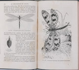 GIRARD Maurice "Les Métamorphoses des Insectes"