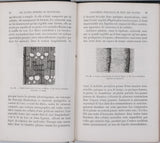 GIRARD Jules "Les plantes étudiées au microscope"