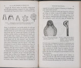 GIRARD Jules "Les plantes étudiées au microscope"