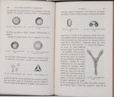 GIRARD Jules "Les plantes étudiées au microscope"