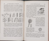 GIRARD Jules "Les plantes étudiées au microscope"