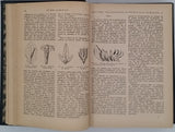 BOIS D. & GRIGNAN G. T. [sous la direction de] "Le bon Jardinier - Encyclopédie Horticole rédigée par un groupe de Savants et Praticiens"