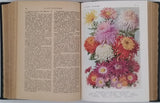 BOIS D. & GRIGNAN G. T. [sous la direction de] "Le bon Jardinier - Encyclopédie Horticole rédigée par un groupe de Savants et Praticiens"