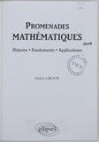 LAROCHE Frédéric "Promenades mathématiques - histoire, fondements, applications"