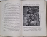 FOCILLON Henri "La peinture au XIXe siècle. Le retour à l'Antique - le Romantisme"