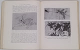 BALTRUŠAITIS Jurgis "Le Moyen Âge fantastique - Antiquités et exotismes dans l'Art Gothique"