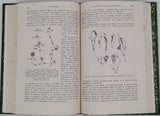 [Mycologie] [Recueil factice de deux tirés-à-part] VUILLEMIN Paul "Les bases actuelles de la systématique en mycologie" et GUILLIERMOND Alexandre "Les progrès de la cytologie des champignons"